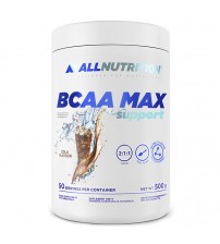 БЦАА AllNutrition BCAA Max Support 500g